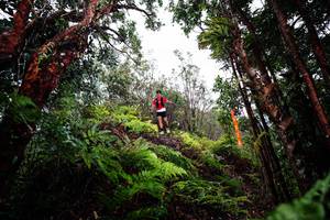 BIB: 
                            <button type="button" onclick="openModal(26201179)" class="btn btn-primary btn-sm float-right btn-popup" data-toggle="modal" data-target=".modal-high-quality">
                        <i class="fas fa-shopping-cart"></i> Add to Cart
                    </button>
                                            <button type="button" onclick="isThisMe(26201179, true)" class="btn btn-success btn-sm float-right btn-popup btn-isme hidden" data-toggle="tooltip" data-placement="bottom" title="นี่คือรูปของคุณใช่ไหม คลิกที่นี่เพื่อเอาเข้าอัลบั้ม">
                        <i class="fas fa-plus"></i> Add to album
                    </button>
                    <button type="button" onclick="isThisMe(26201179, false)" class="btn btn-warning btn-sm float-right btn-popup btn-isnotme hidden">
                        <i class="fas fa-ban"></i> Remove from album
                    </button>